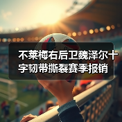 不莱梅右后卫魏泽尔十字韧带撕裂赛季报销（图3）