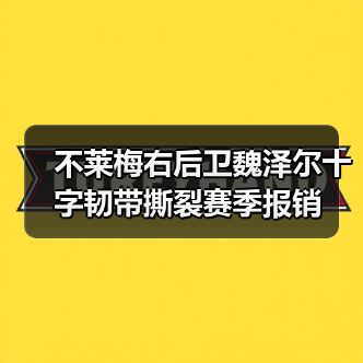 不莱梅右后卫魏泽尔十字韧带撕裂赛季报销（图4）